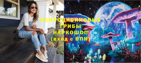 прущие грибы Осташков