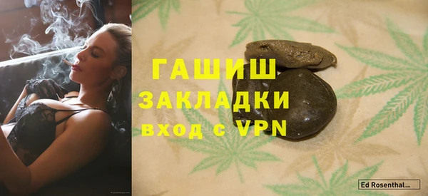 прущие грибы Осташков