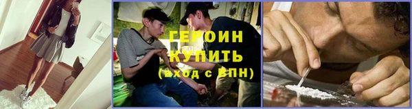 прущие грибы Осташков