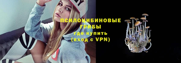 прущие грибы Осташков