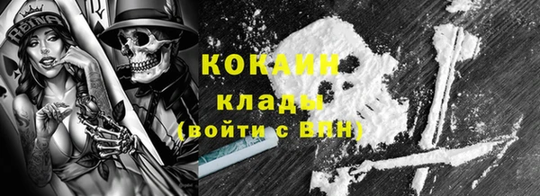 прущие грибы Осташков