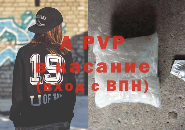 прущие грибы Осташков