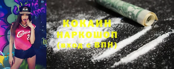 прущие грибы Осташков