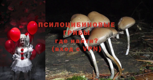 прущие грибы Осташков
