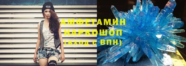 прущие грибы Осташков