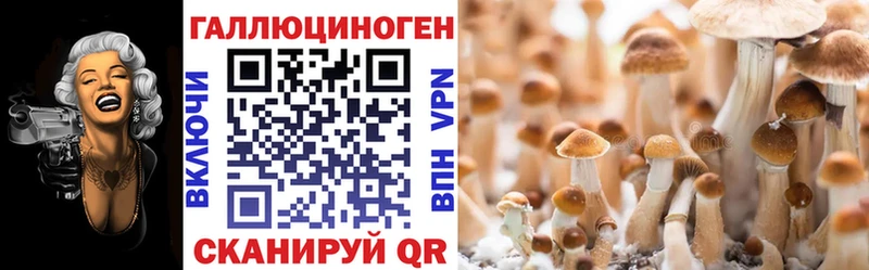Купить  Ивантеевка  Псилоцибиновые грибы Psilocybe 